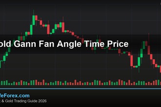cover gold gann fan angle time price v62 2569 2