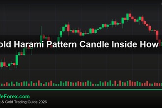 cover gold harami pattern candle inside how v49 2569 2
