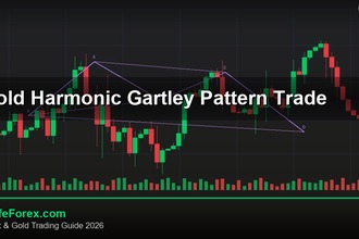cover gold harmonic gartley pattern trade v48 2569 2