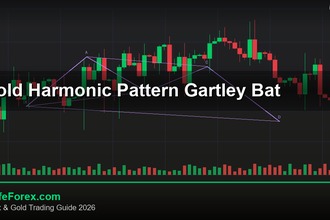 cover gold harmonic pattern gartley bat v60 2569 2