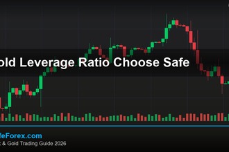 cover gold leverage ratio choose safe v63 2569 2