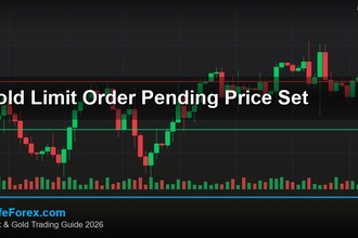 cover gold limit order pending price set v71 2569 2