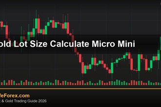 cover gold lot size calculate micro mini v70 2569 2