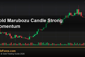 cover gold marubozu candle strong momentum v49 2569 2
