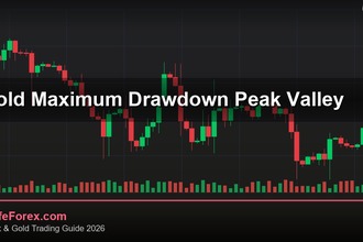 cover gold maximum drawdown peak valley v79 2569 2