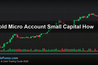 cover gold micro account small capital how v51 2569 2