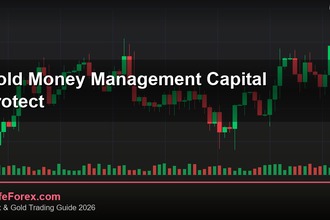 cover gold money management capital protect v75 2569 2