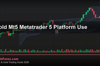 cover gold mt5 metatrader 5 platform use v70 2569 2