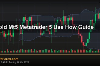 cover gold mt5 metatrader 5 use how guide v40 2569 2