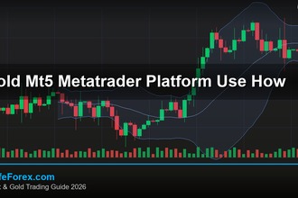 cover gold mt5 metatrader platform use how v51 2569 2