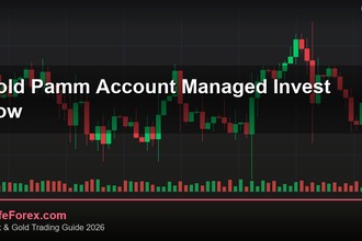 cover gold pamm account managed invest how v54 2569 2
