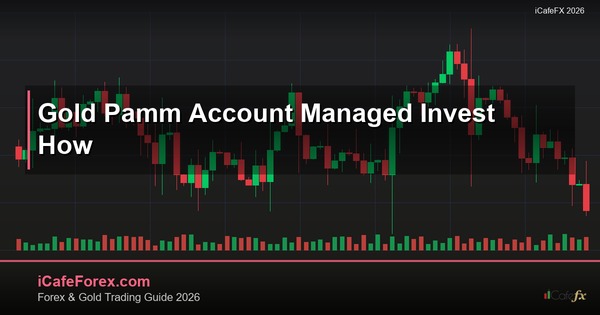 ทองคำ PAMM บัญชีผู้จัดการเทรดทองยังไง XAU 2569