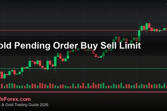 cover gold pending order buy sell limit v71 2569 2