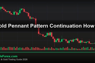 cover gold pennant pattern continuation how v48 2569 2
