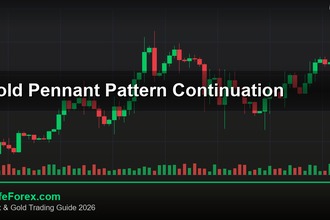 cover gold pennant pattern continuation v60 2569 2