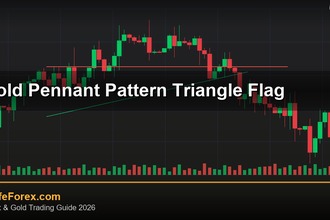 cover gold pennant pattern triangle flag v68 2569 2