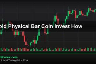 cover gold physical bar coin invest how v58 2569 2