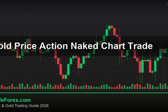 cover gold price action naked chart trade v49 2569 2