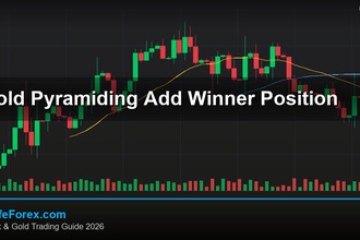 cover gold pyramiding add winner position v69 2569 2