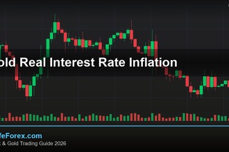 cover gold real interest rate inflation v72 2569 2