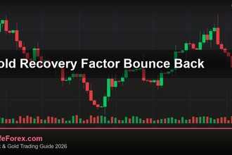 cover gold recovery factor bounce back v66 2569 2