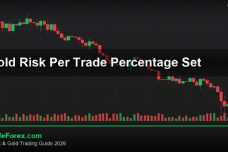 cover gold risk per trade percentage set v75 2569 2