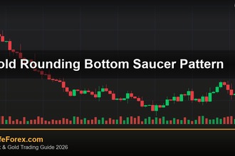 cover gold rounding bottom saucer pattern v60 2569 2
