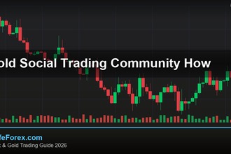 cover gold social trading community how v54 2569 2