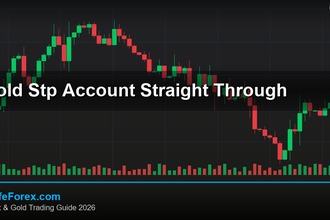 cover gold stp account straight through v70 2569 2