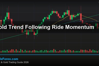 cover gold trend following ride momentum v69 2569 2