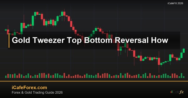ทองคำ Tweezer Top Bottom แท่งเทียนคีมคู่<a href=