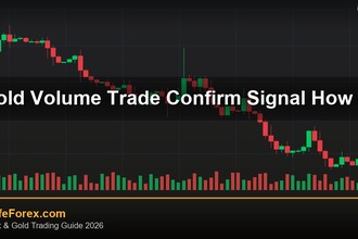 cover gold volume trade confirm signal how v59 2569 2