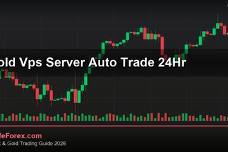 cover gold vps server auto trade 24hr v70 2569 2