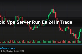cover gold vps server run ea 24hr trade v77 2569 2