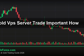 cover gold vps server trade important how v42 2569 2