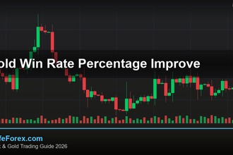 cover gold win rate percentage improve v74 2569 2