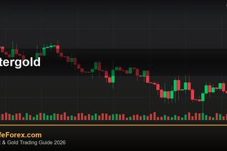 cover intergold 2026 2