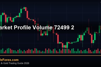 cover market profile volume 72499 2