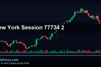 cover new york session 77734 2