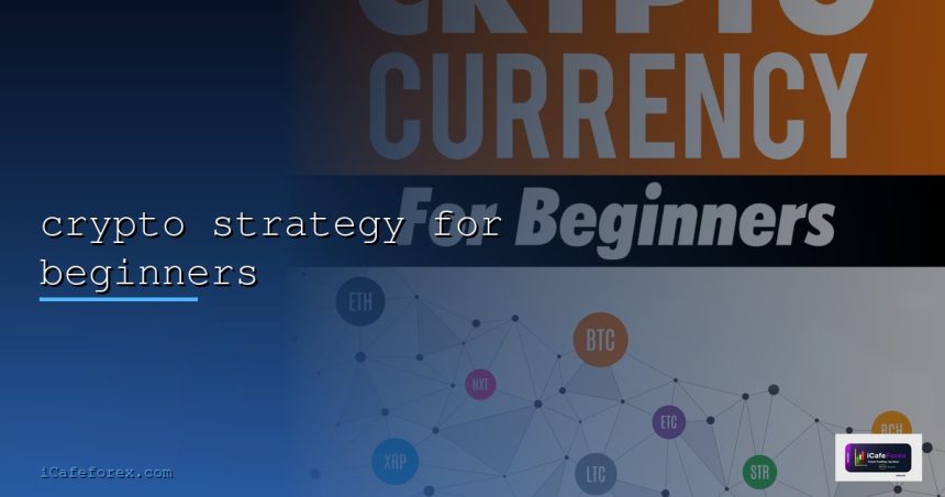 crypto strategy for beginners cover 2