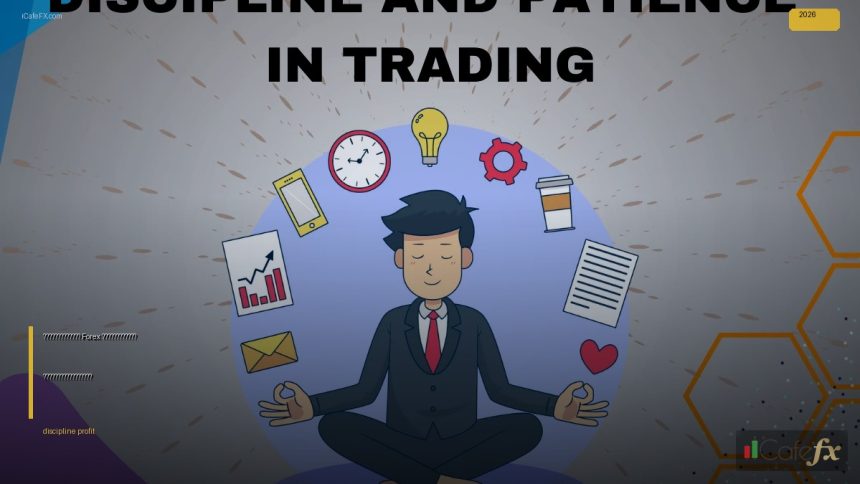 discipline profit cover 1