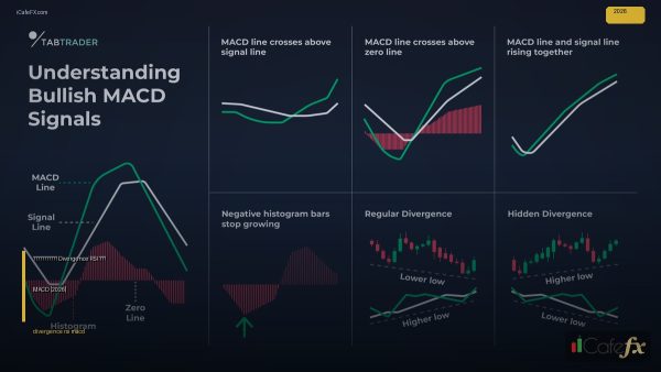 การเทรดด้วย Divergence RSI และ MACD [2026]