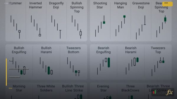 Forex สำหรับมือใหม่คู่มือเริ่มต้น 2026 — คู่มือฉบับสมบูรณ์