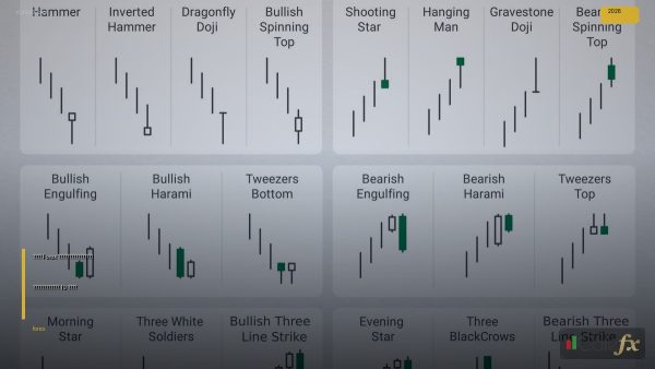 เทรด Forex เริ่มต้นจากศูนย์ เข้าใจตลาดใน 10 นาที