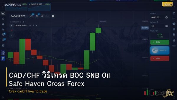 CAD/CHF วิธีเทรด BOC SNB Oil Safe Haven Cross Forex