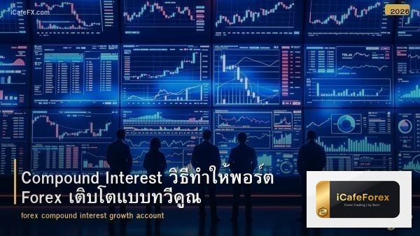 Compound Interest วิธีทำให้พอร์ต Forex เติบโตแบบทวีคูณ