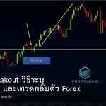 forex-false-breakout-how-to-identify-avoid-trade
