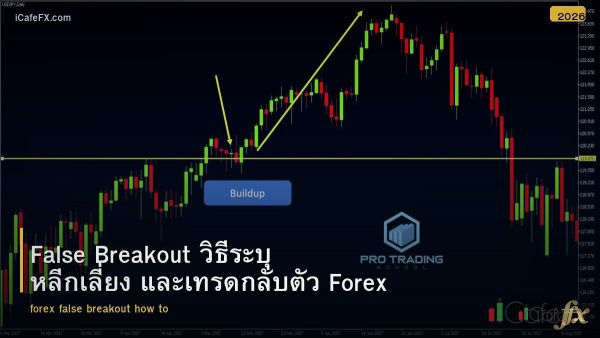 False Breakout วิธีระบุ หลีกเลี่ยง และเทรดกลับตัว Forex