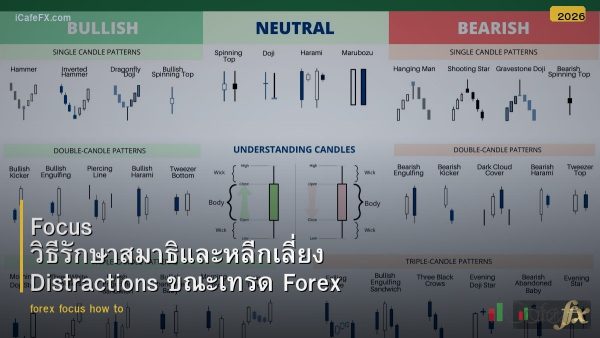 Focus วิธีรักษาสมาธิและหลีกเลี่ยง Distractions ขณะเทรด Forex