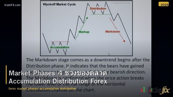 Market Phases 4 ช่วงของตลาด Accumulation Distribution Forex